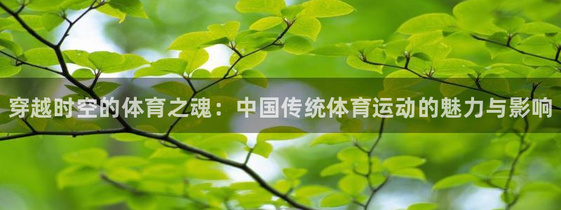oety欧亿体育官网下载平台注册要钱吗：穿越时空的体