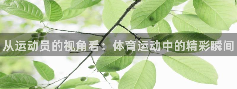 欧亿体育官方正版app神州：从运动员的视角看：体育运