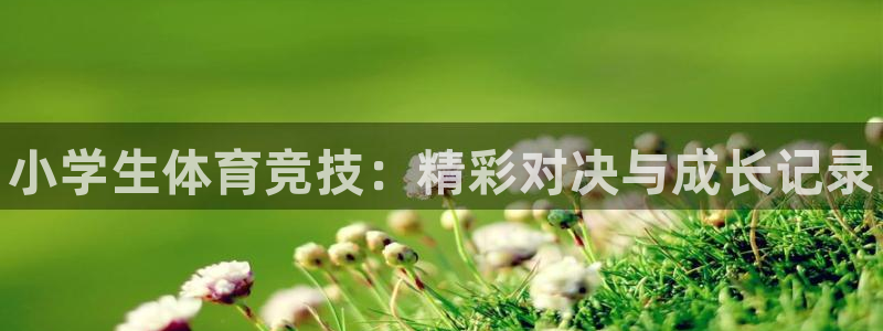 欧亿体育官方正版app娱乐网站：小学生体育竞技：精彩
