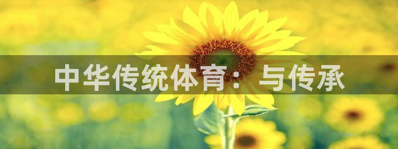 oety欧亿体育官网下载平台是正规平台吗知乎：中华传
