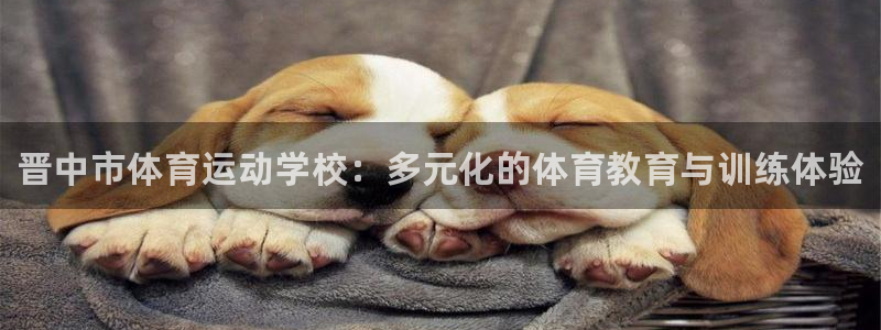 oety欧亿体育官网下载平台APP：晋中市体育运动学