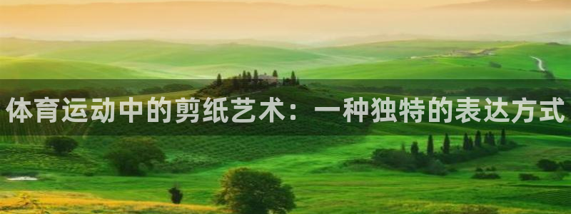 oety欧亿体育官网下载是干嘛的公司：体育运动中的剪纸艺术：