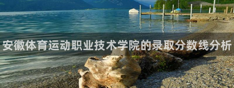 oety欧亿体育官网下载平台注册流程图：安徽体育运动职业技术