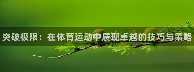 欧亿体育官方正版app新能源：突破极限：在体育运动中展现卓越