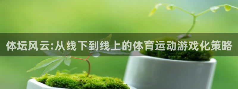 oety欧亿体育官网下载招商电话是多少