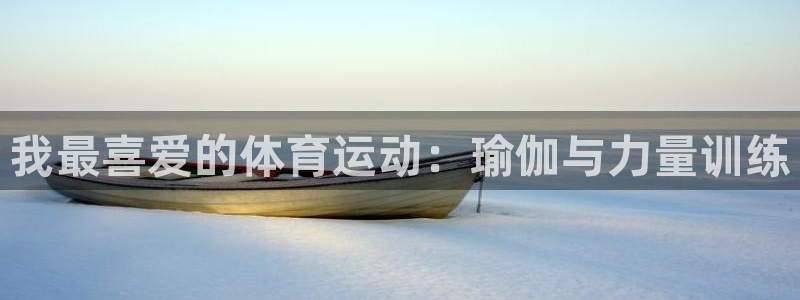 oety欧亿体育官网下载平台是正规平台吗：我最喜爱的体育运动