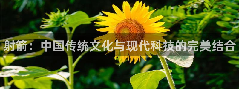 oety欧亿体育官网下载娱乐