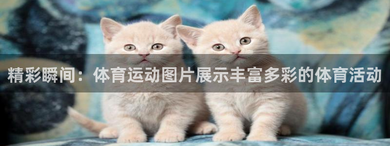 oety欧亿体育官网下载招商电话地址查询：精彩瞬间：