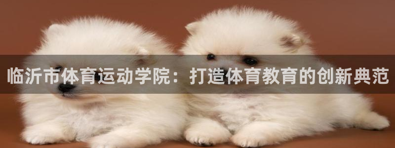 欧亿体育官方正版app集团：临沂市体育运动学院：打造
