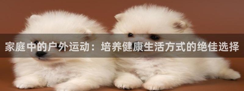 欧亿体育官方正版app新能源：家庭中的户外运动：培养健康生活
