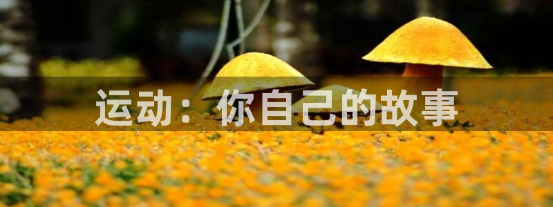 oety欧亿体育官网下载招商电话：运动：你自己的故事