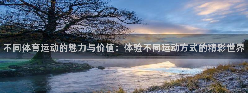 欧亿体育官方正版app官网：不同体育运动的魅力与价值：体验不