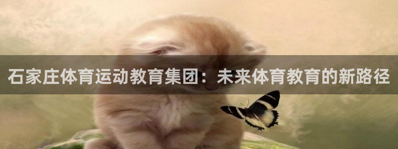 欧亿体育官方集团官网：石家庄体育运动教育集团：未来体育教育的