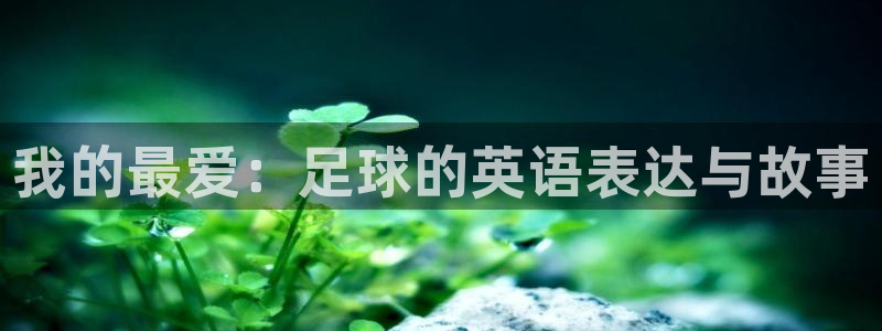 oety欧亿体育官网下载开户